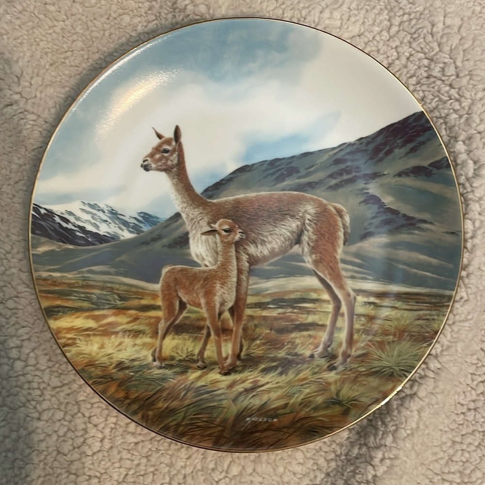The Vicuña Will Nelson Vintage Last of Their Kind: The Endangered Species Plate